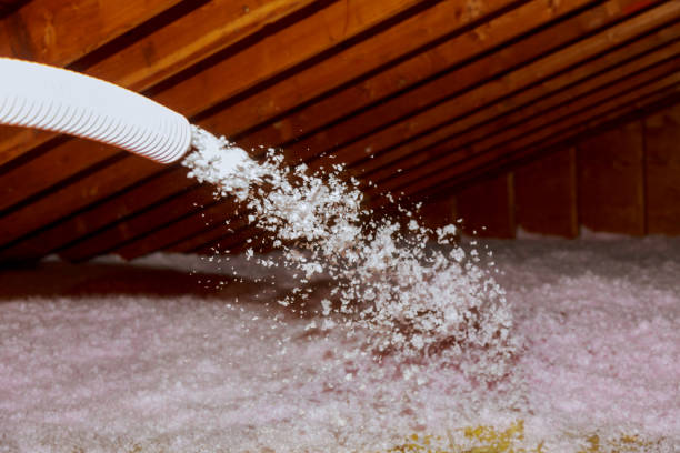 Best Basement Insulation  in Fulton, NY